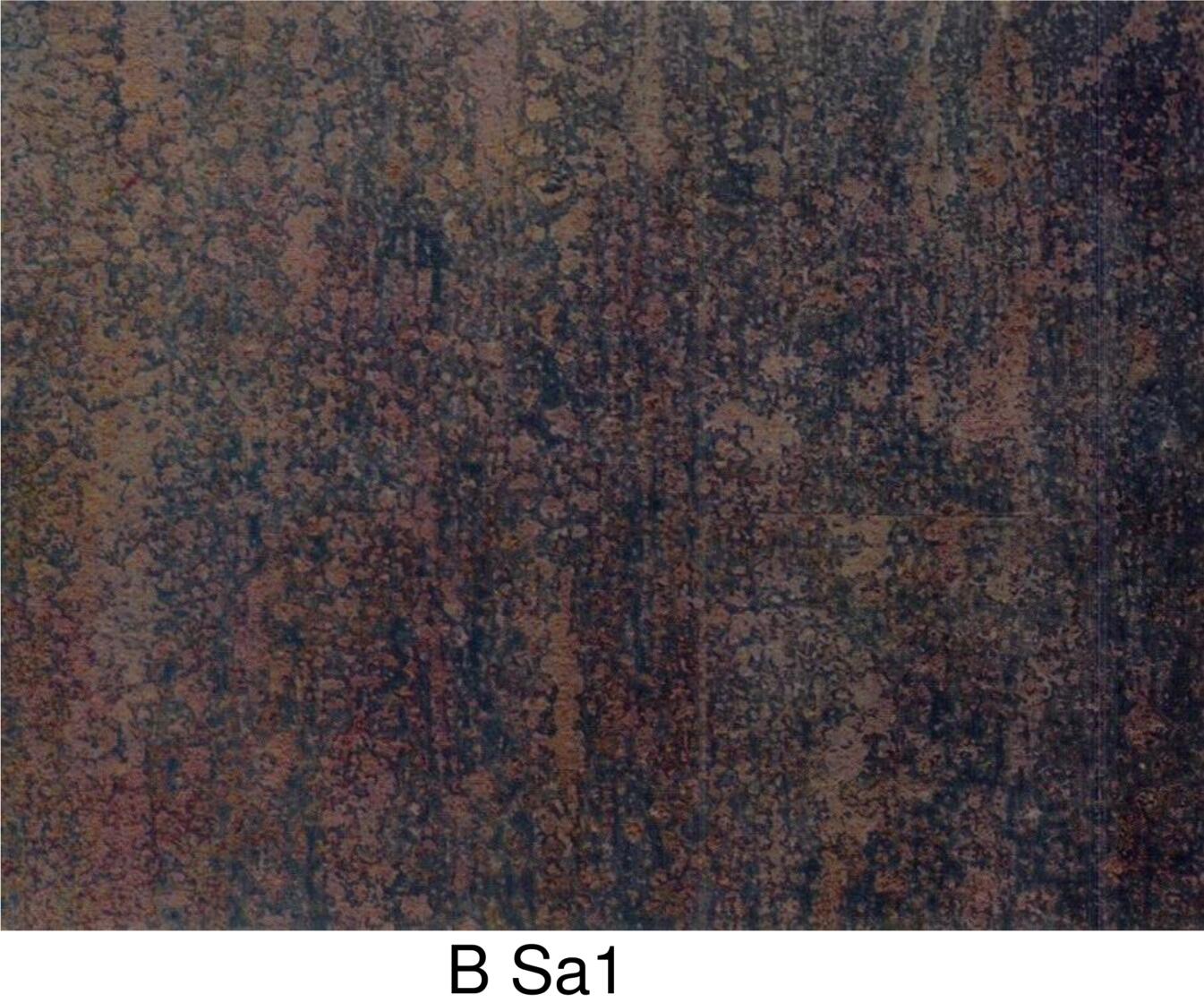 B Sa1.jpg