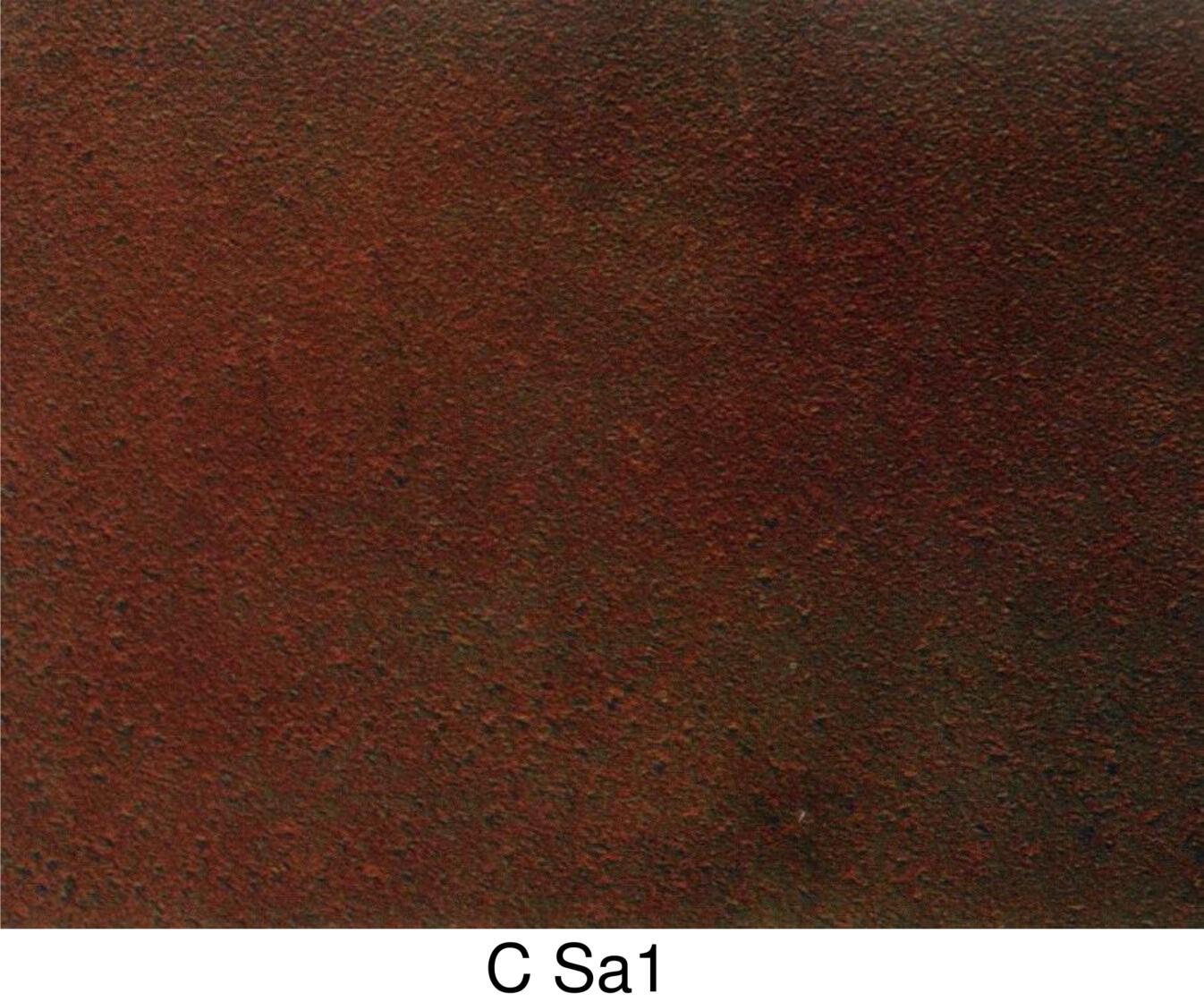 C Sa1.jpg