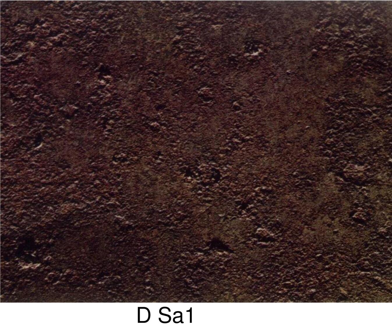 D Sa1.jpg