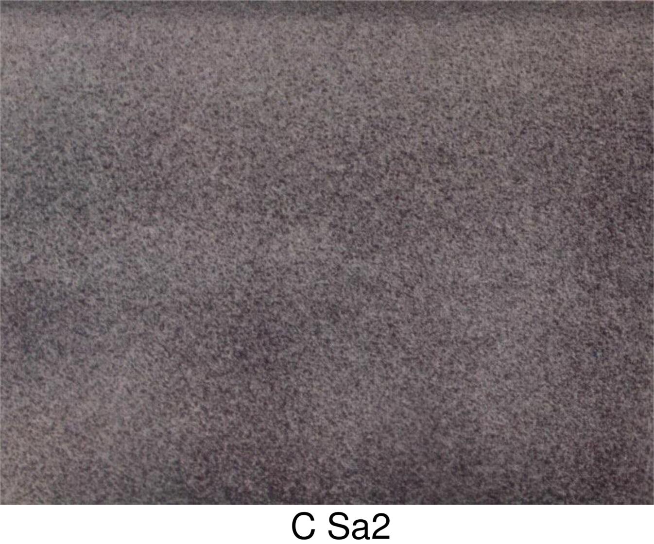 C Sa2.jpg