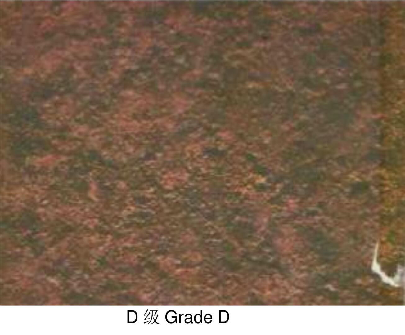 D级 Grade D.jpg
