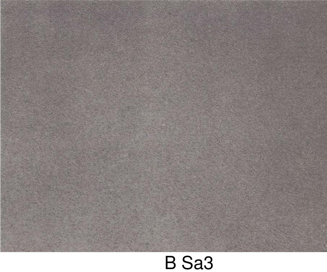 B Sa3.jpg