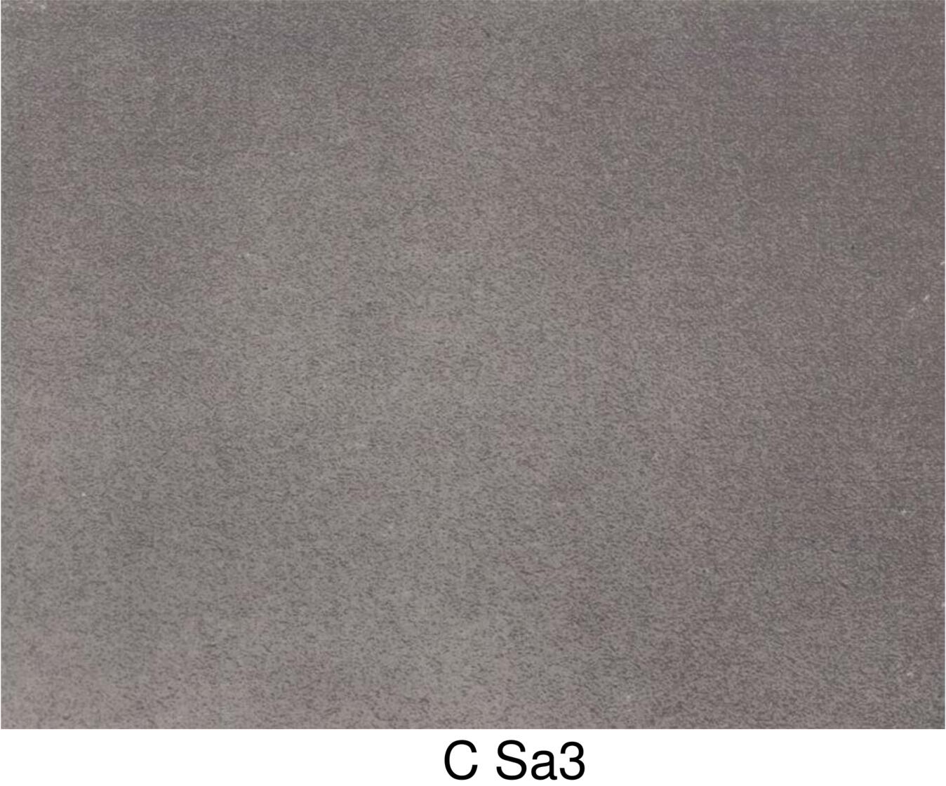 C Sa3.jpg